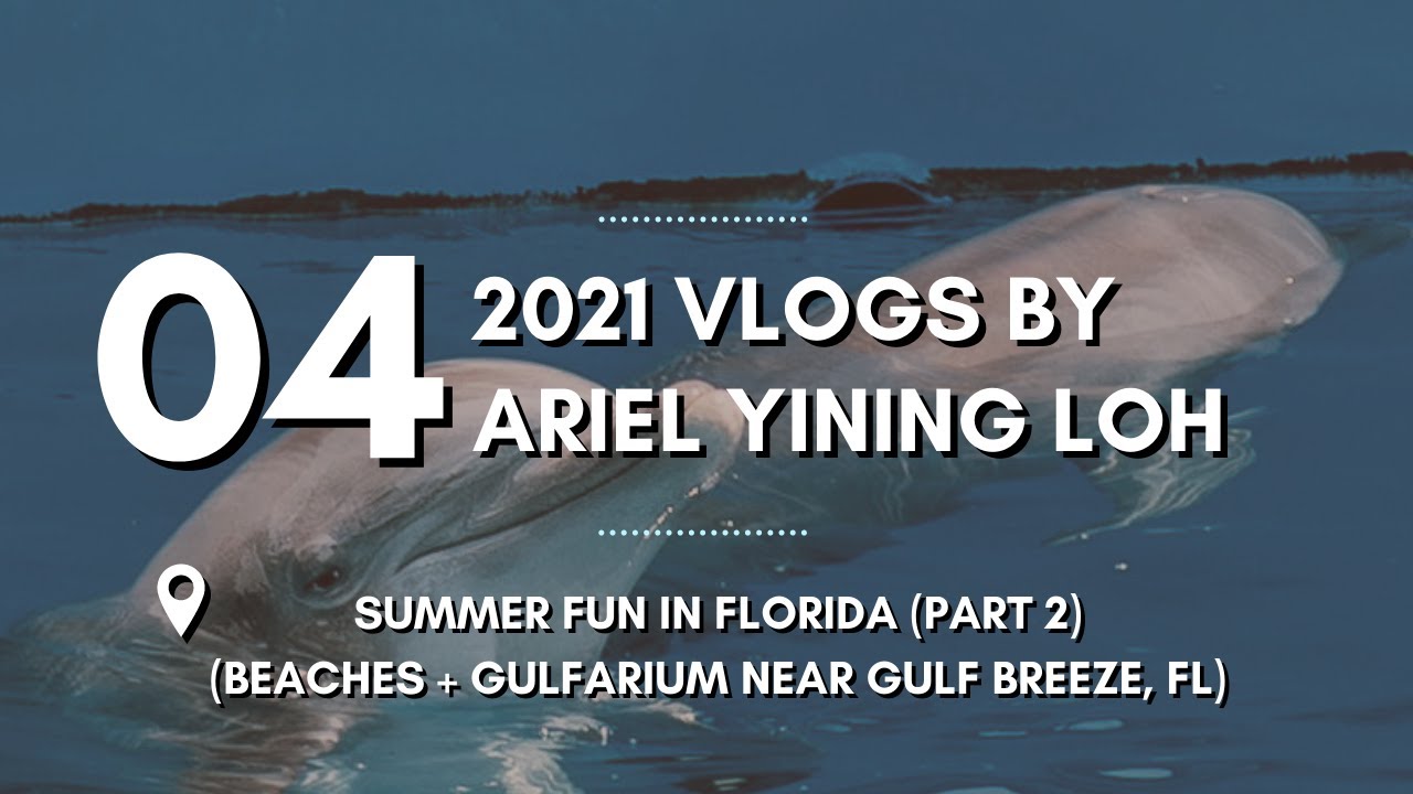Summer Fun in Florida (Part 2) 🐬 | 2021 Vlogs : Episode 04 | Ariel Yining Loh