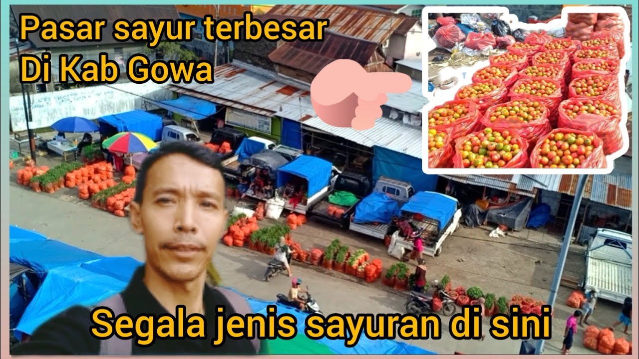 Riview pasar Sayur terbesar dan terlengkap sungguminasa kab gowa@sulselok2593