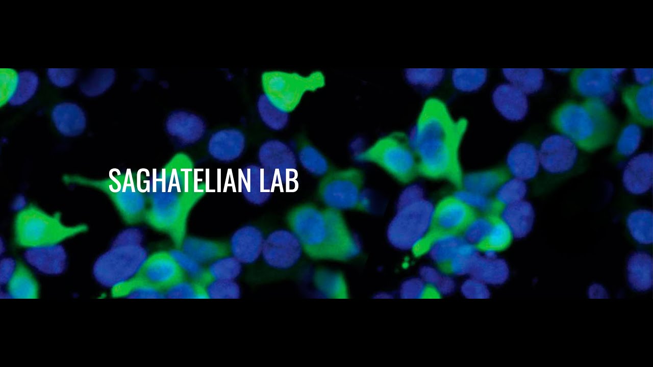 Saghatelian Lab Tour | Proteins & Mass Spectrometry | Salk Institute Research