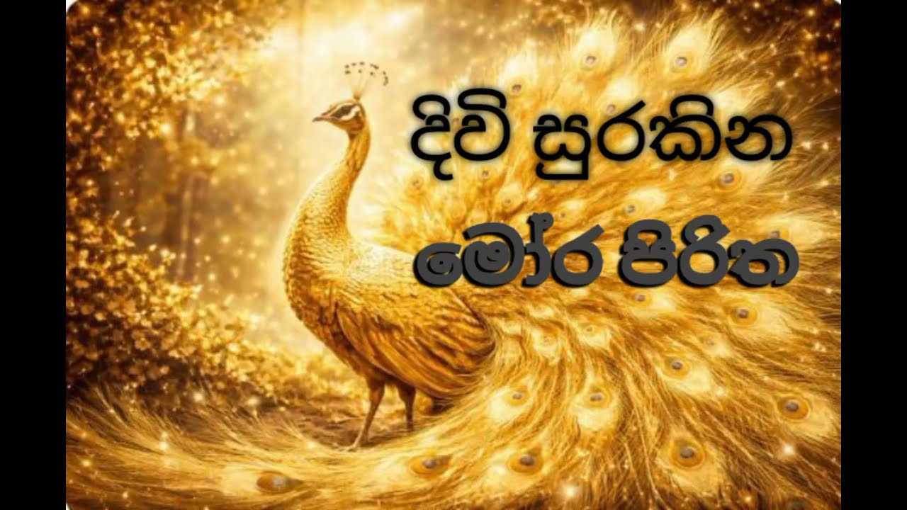 මෝර පිරිත | ආරක්ෂාව, සුවය සහ ආශීර්වාද ලබාදෙන පිරිත් දේශනා @Saraniසරණි 