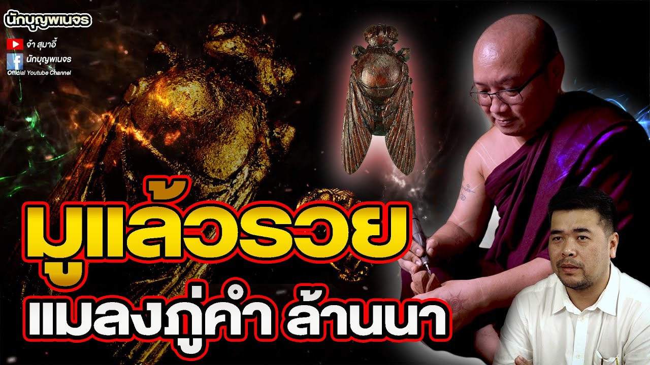 นักบุญพเนจร l  มูแล้วรวยแมลงภู่คำ ล้านนา I [PART 6]