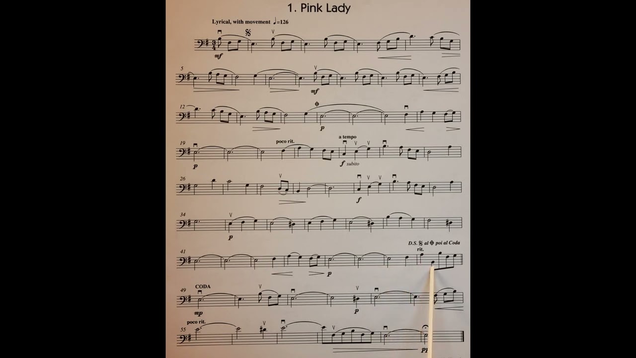 1 Pink Lady piano accompaniment at rehearsal speed