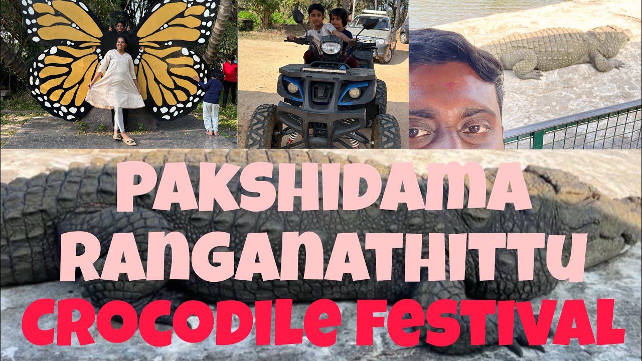 Part-2 ಮೋಸಲೆಯ ಸಾಮ್ರಾಜ್ಯ🐊/ಪಕ್ಷಿದಮ ರಂಗನತಿಟ್ಟು🦢SAFARI🛸