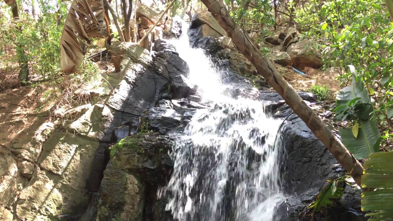 Pretoria  : Botanical Garden (South Africa  - 4K / UHD)
