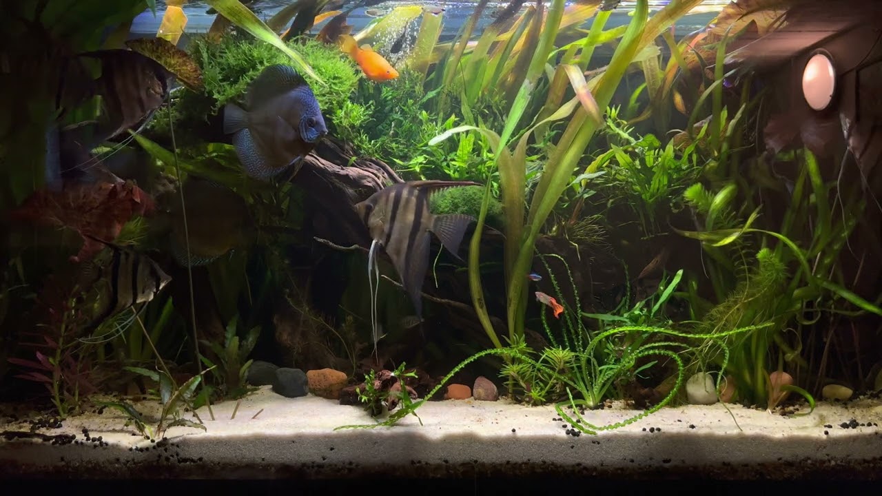 Dlaczego używam wody Ro