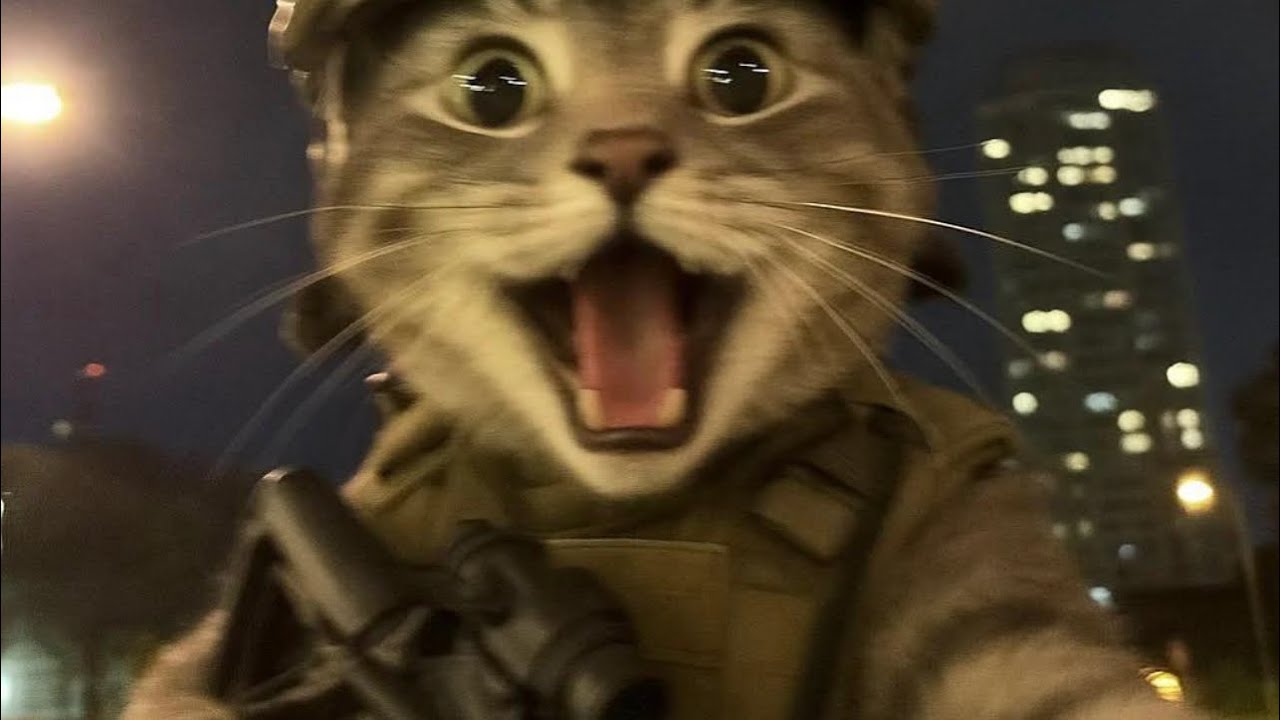 🎮💯COD