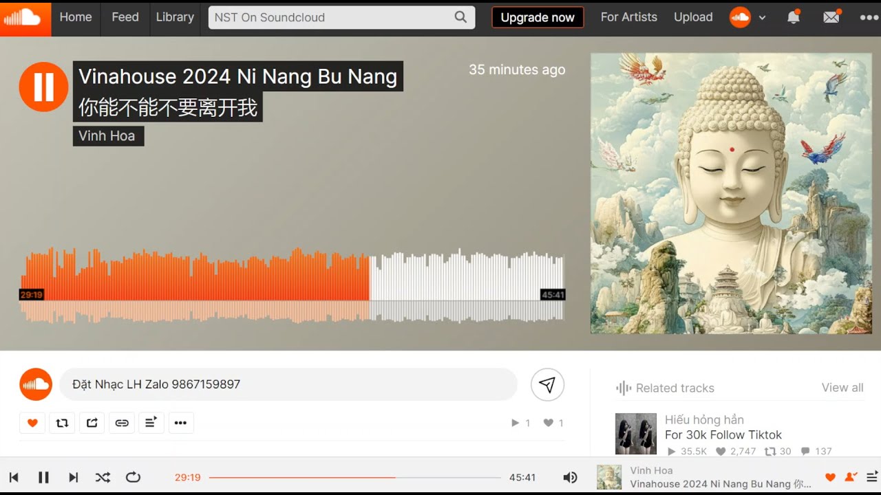 NST BAY PHÒNG STYLE THÁI HOÀNG | NHẠC HOT SOUNDCLOUD 2024