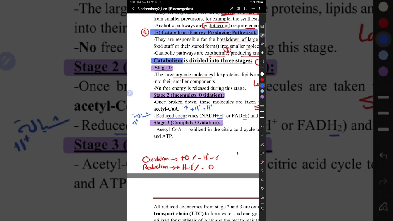 Biochemistry Lec 1 ( Bioenergetics ) أولى علاج طبيعي الصينية 