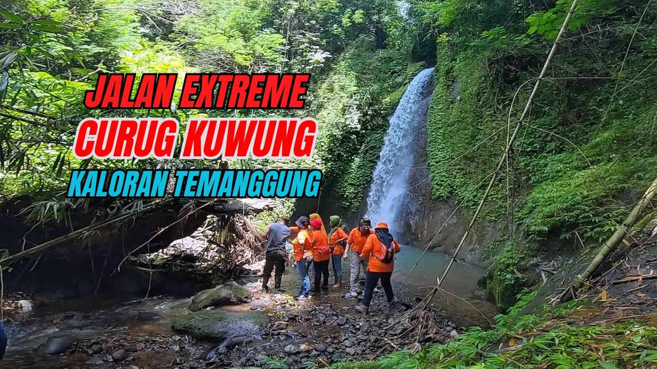 🔴Jalan Setapak Ekstrem Menuju Curug Kuwung di Kaloran, Temanggung