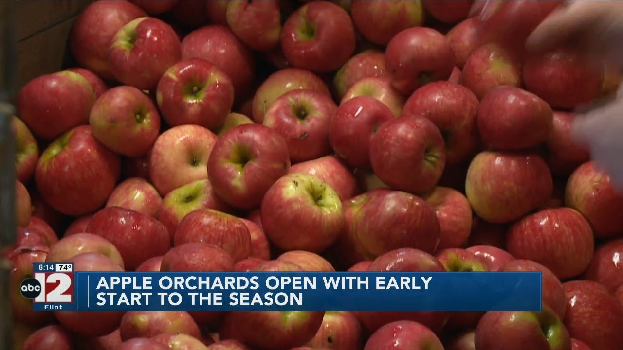 Apple season arrives early across Mid-Michigan