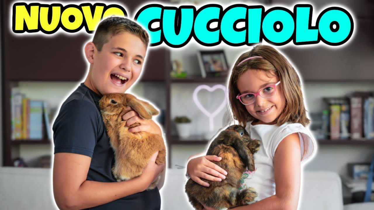 NUOVO CUCCIOLO DI CONIGLIO in Famiglia GBR: Arriva un Compagno per Trilly