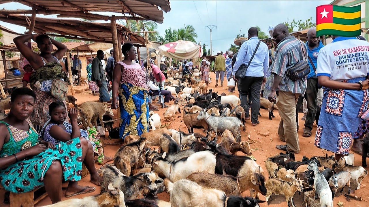 Рыночный день в сельской деревне Зафи, Того, Западная Африка 🇹🇬. Стоимость жизни в моей африканск...