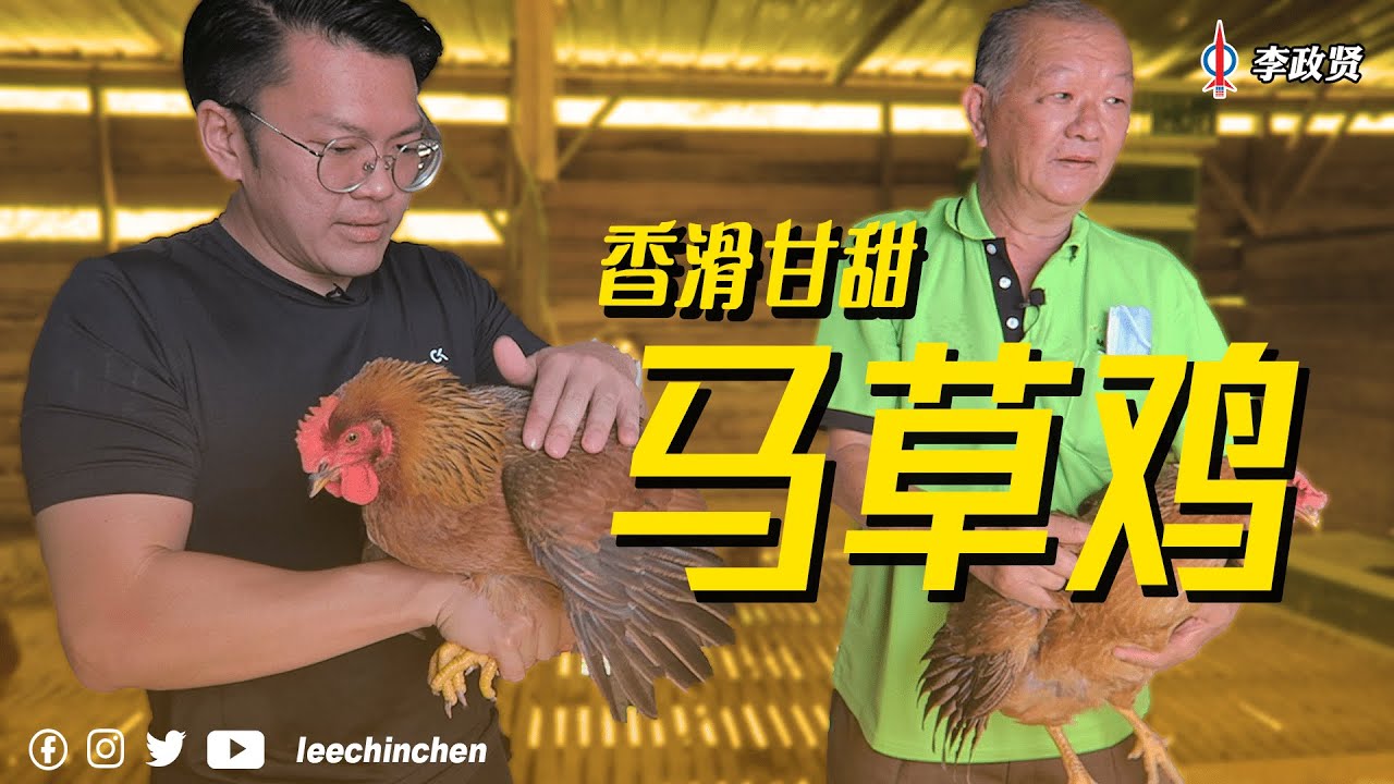 贤聊政经事 EP6 - 马草鸡