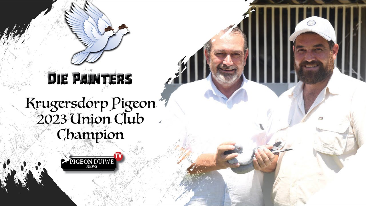 Die Painters The 2023 Club Champion of Krugersdorp Pigeon Union