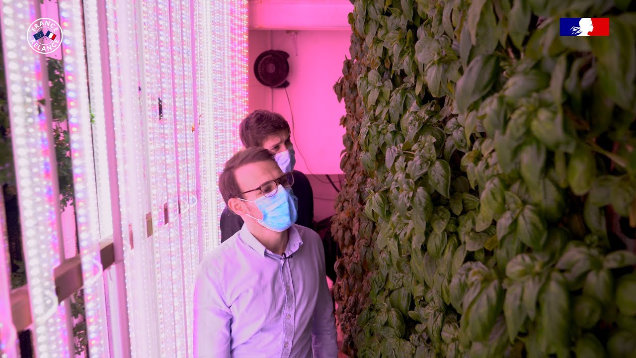 Champerché, l'agriculture près de chez vous