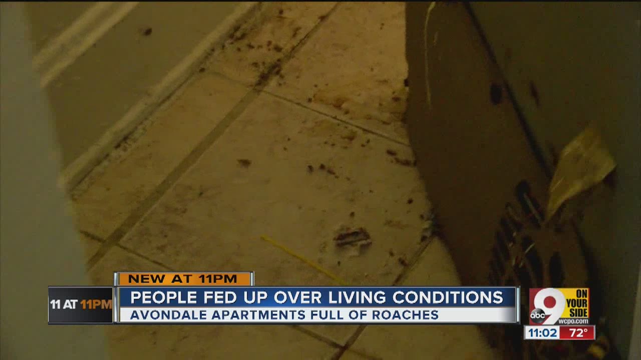 Apartment complex residents fed up over living conditions