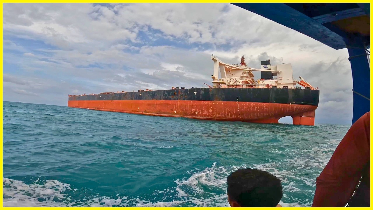 DA RAPOSA PRO ALTO MAR! Rotina no Cais, Espinhel e Peixe Frito no Barco (IMAGENS REAIS)