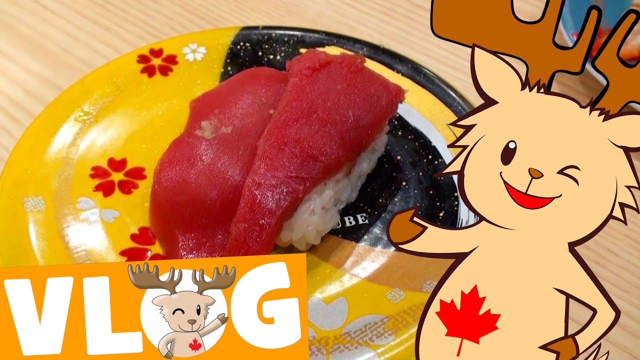 Let's Eat Sushi | Marty's Vlog