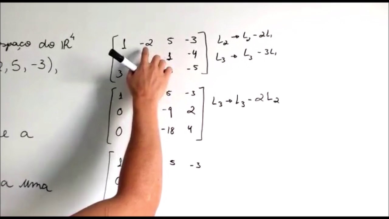 Exercício - Base e Dimensão Vetorial