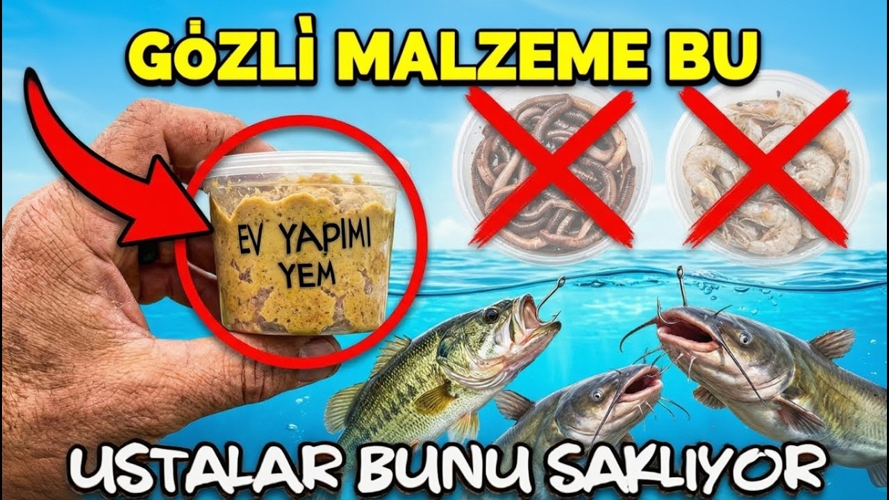 Ta przynęta bije robaki i krewetki razem wzięte – dlaczego o niej zapomniano?