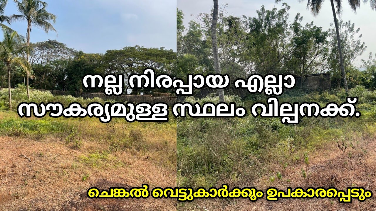 നല്ല നിരപ്പായ എല്ലാ സൗകര്യമുള്ള സ്ഥലം വില്പനക്ക്.ചെങ്കൽ വെട്ടുകാർക്കും ഉപകാരപ്പെടും