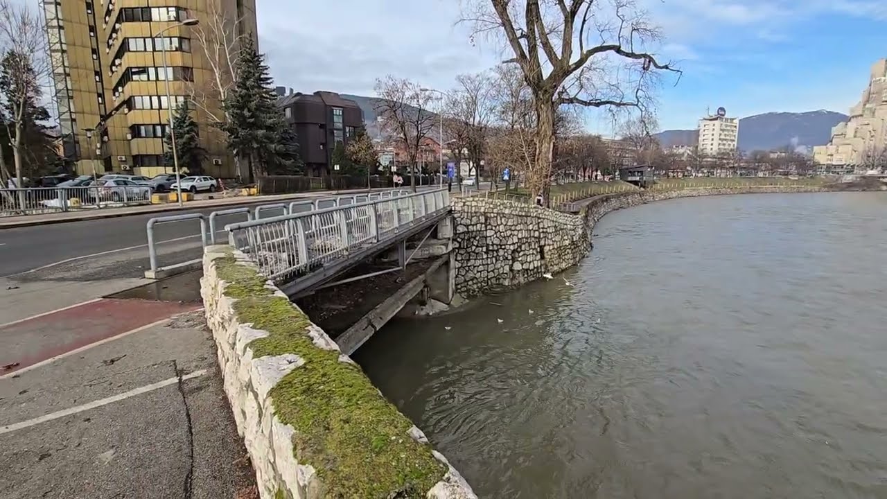 Galebovi u Zenici ,bjelina nagovještava čistoću