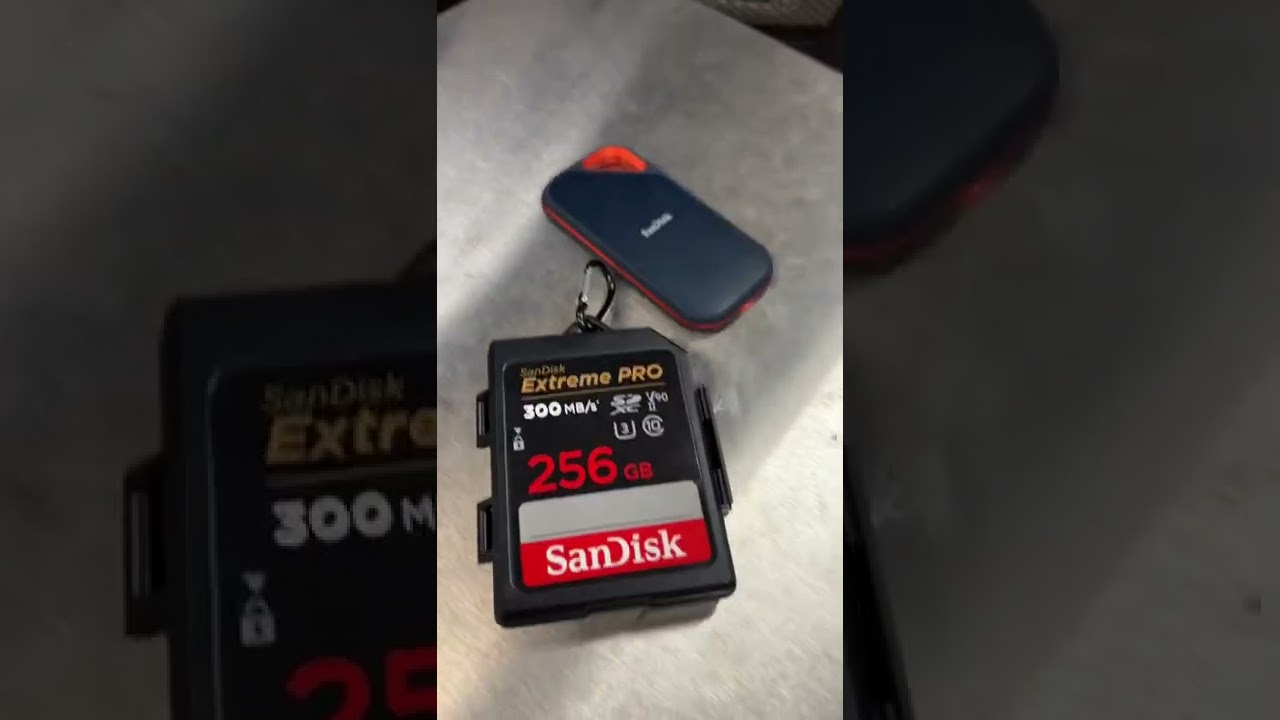 The SanDisk Memory Card Case is shaped like an SD card, holding a variety of card sizes inside.