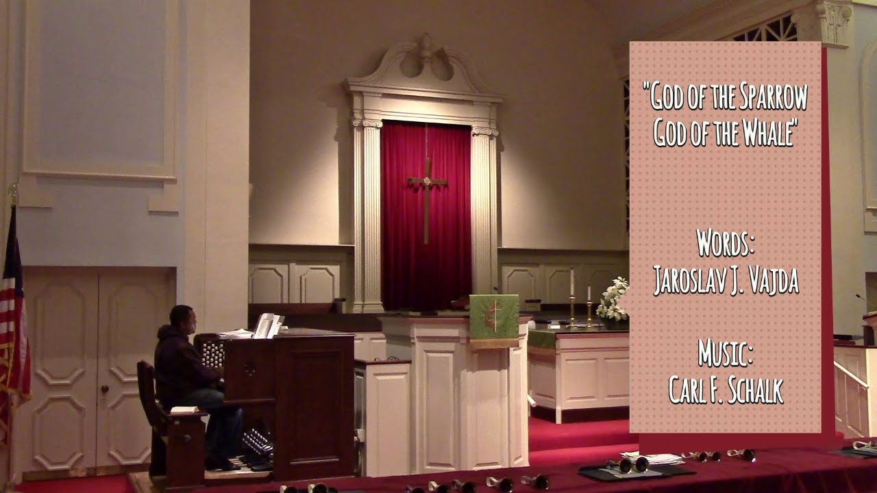 God of the Sparrow God of the Whale. Jaroslav Vajda & Carl Schalk. The United Methodist Hymnal 122.