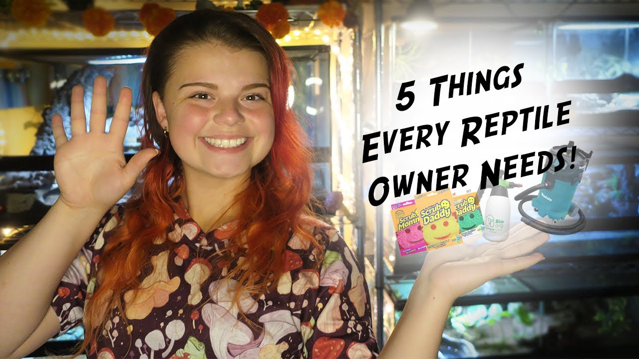 5 Things Every Reptile Owners Needs!