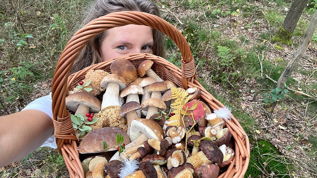 Jeśli można być w grzybowym raju, to chyba byłam;) Ale wysyp na Dolnym Śląsku!