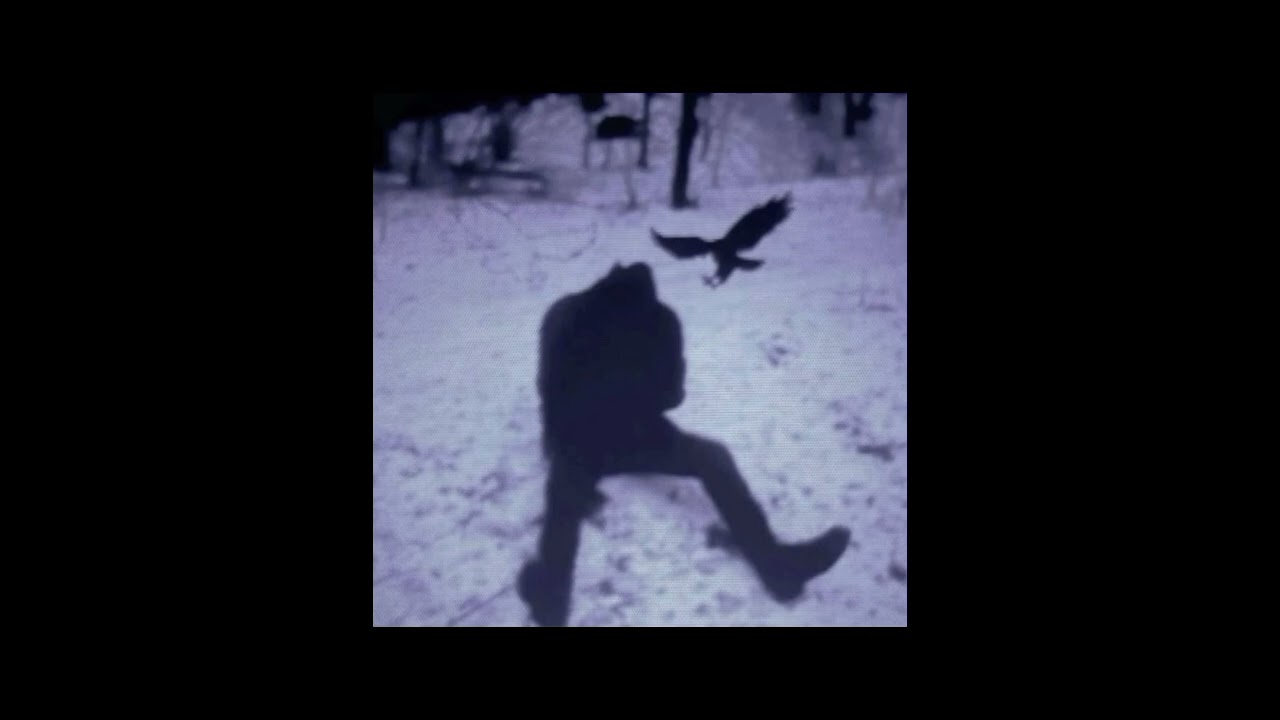 TOXIK - N!GHTvisiøn (slowed version )