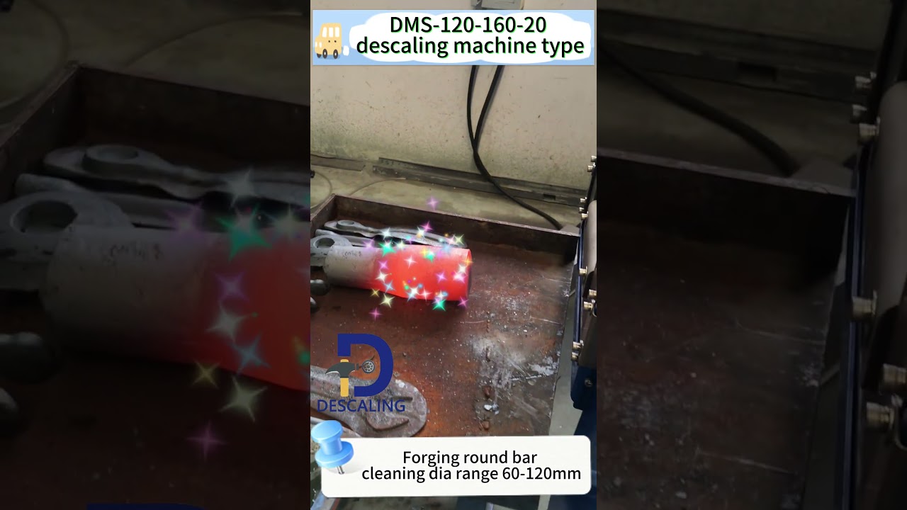 Forging descaling machine type DMS-120-160-20 ‖ hot forging piece scale cleaning machine