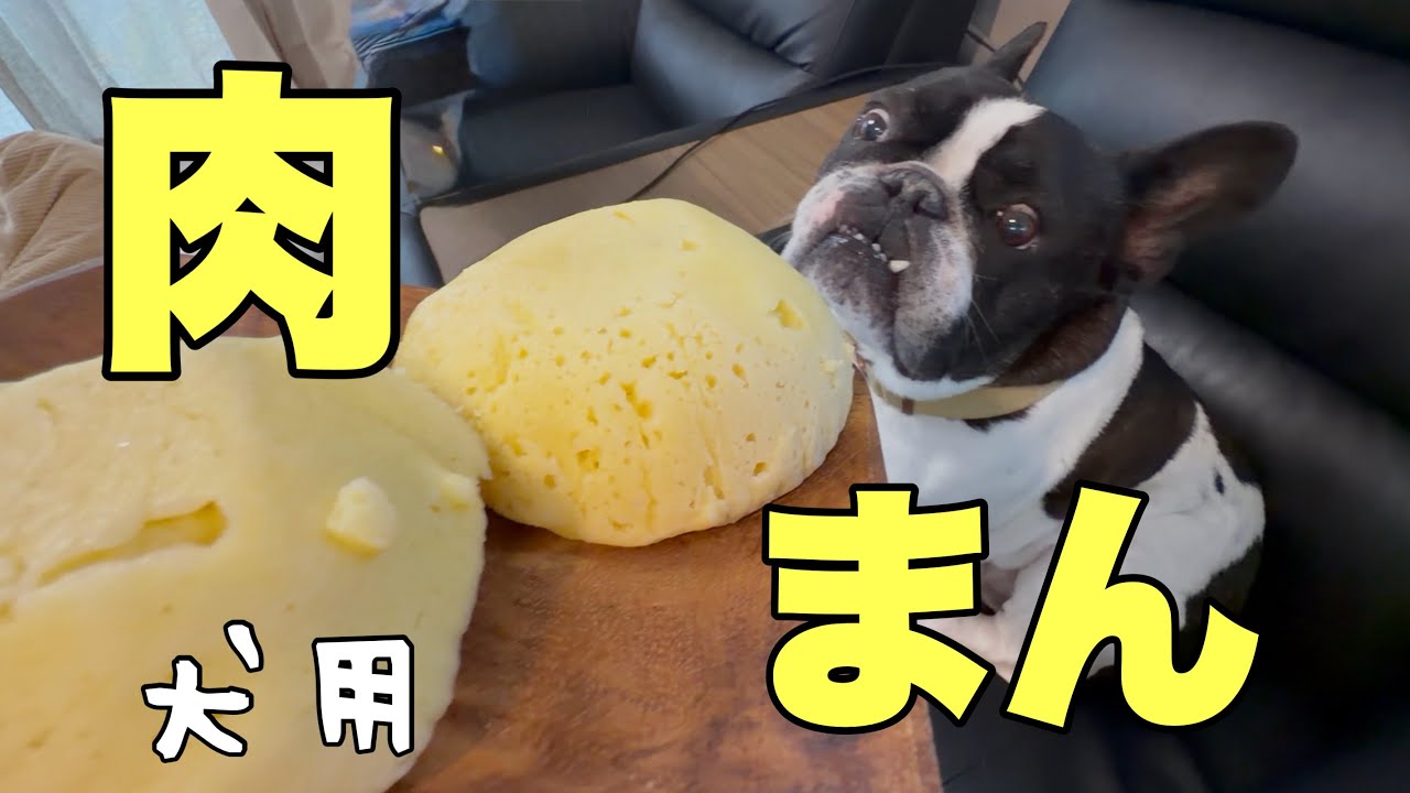 雨で退屈そうなのでワンコ用肉まん作ってみた！