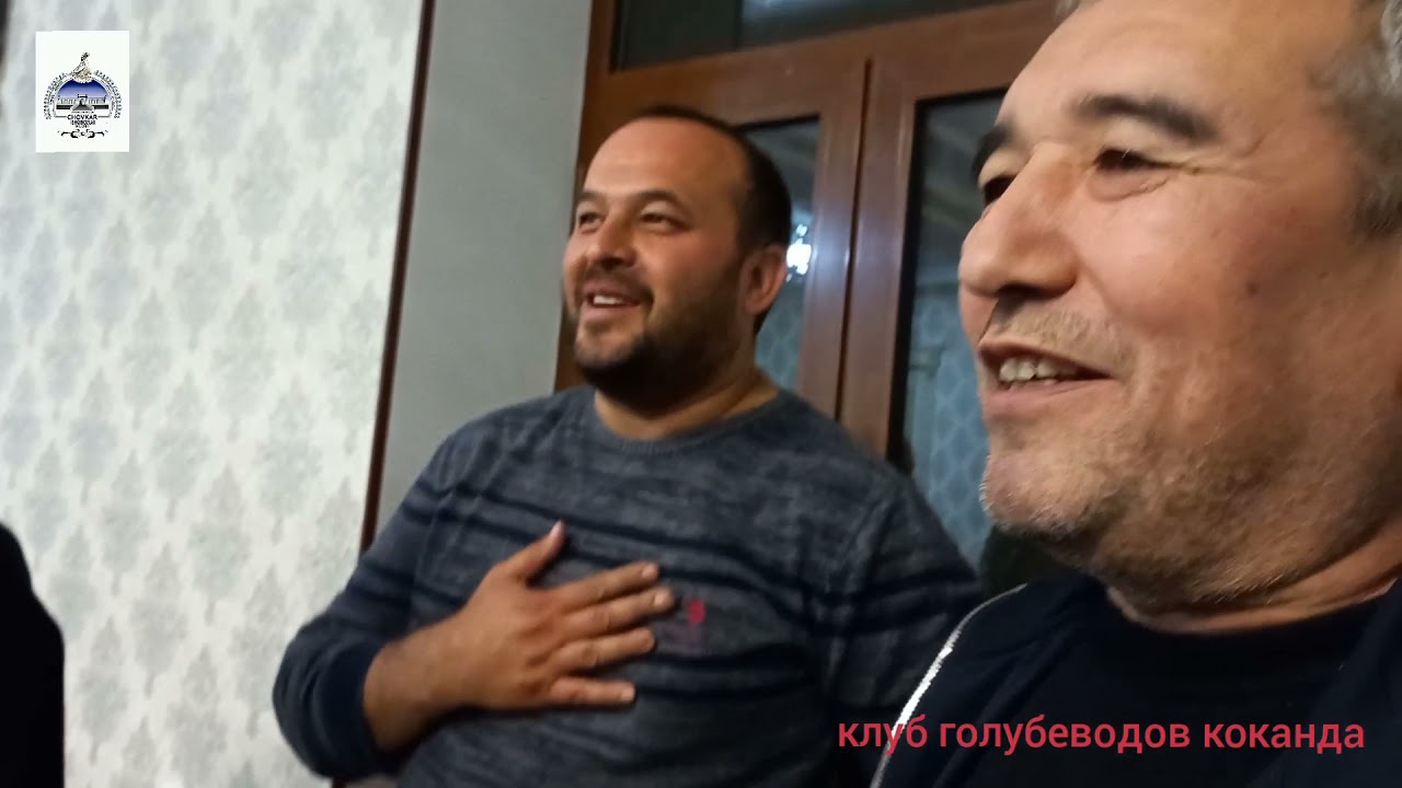 Узбекские двухчубие голуби Намангана (ноябр 2021 года)