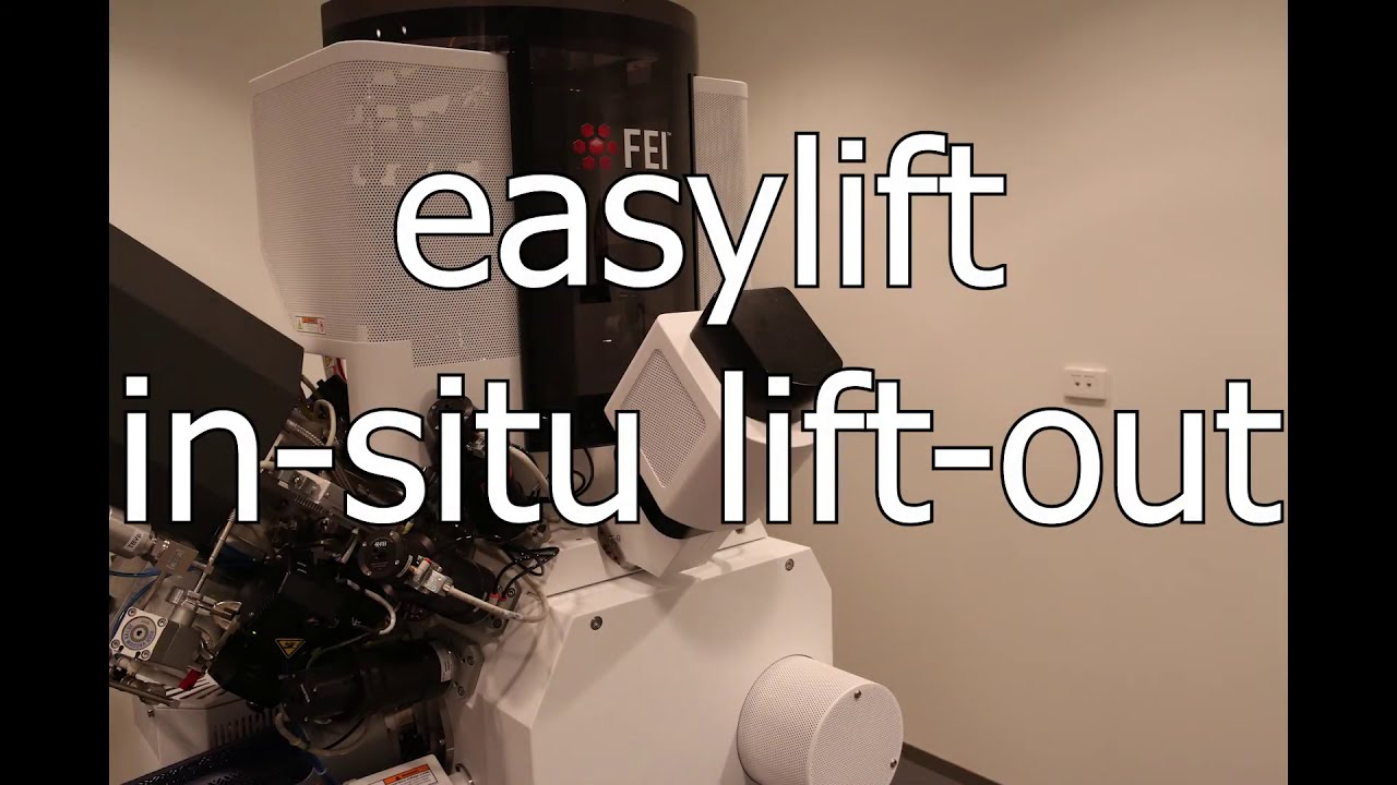 FIB: Easylift in situ lift out workflow