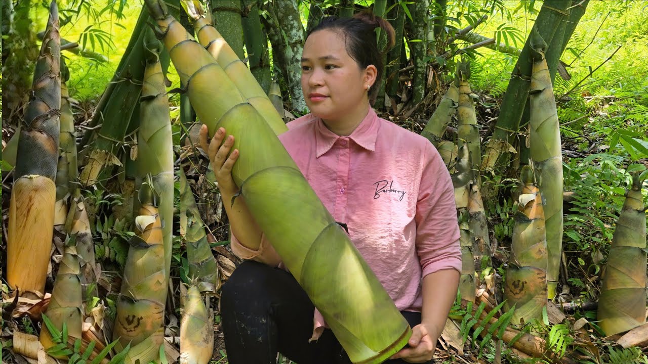 Harvesting Wild Bamboo Shoots – Bring them to the market to sell - Cooking | Ly Thi Ca