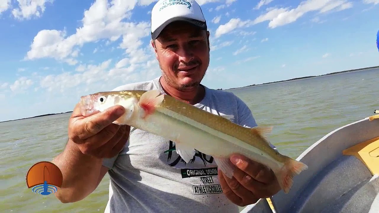 Del Pescador TV - @Delpescadortv