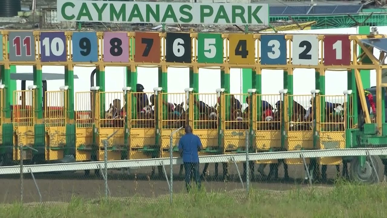The Jamaica 1000 Guineas at Caymanas Park - June 4, 2022 | SportsMax TV
