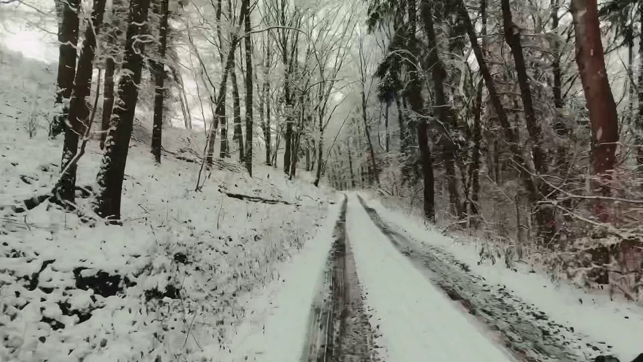 Winter Tour um Milbitz
