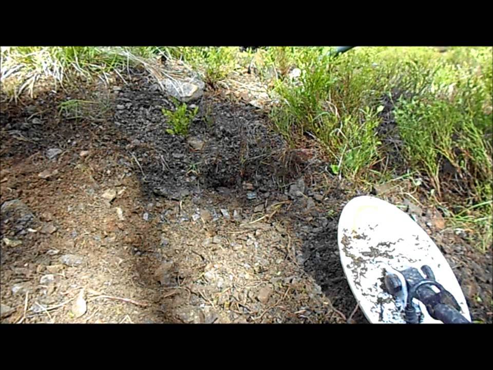 Metal Detecting for Gold Nuggets with the Fisher Gold Bug Pro