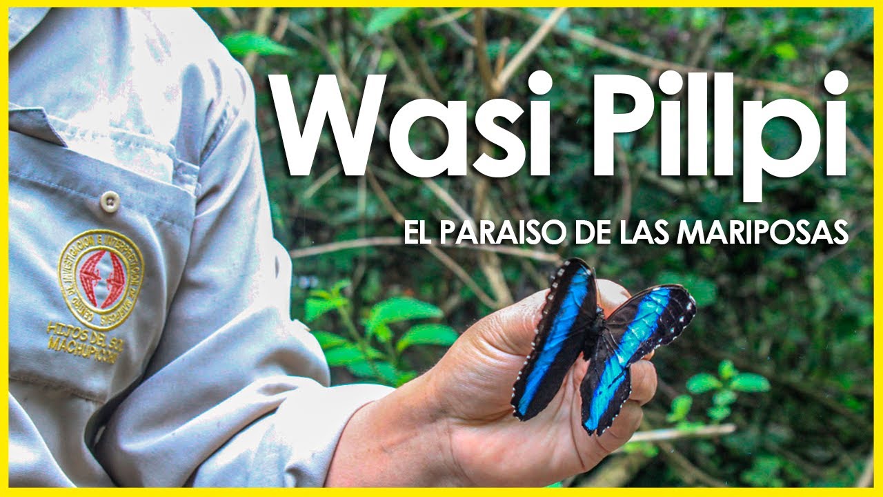 Increíble Mariposario en Machu Picchu - VSR en #machupicchu