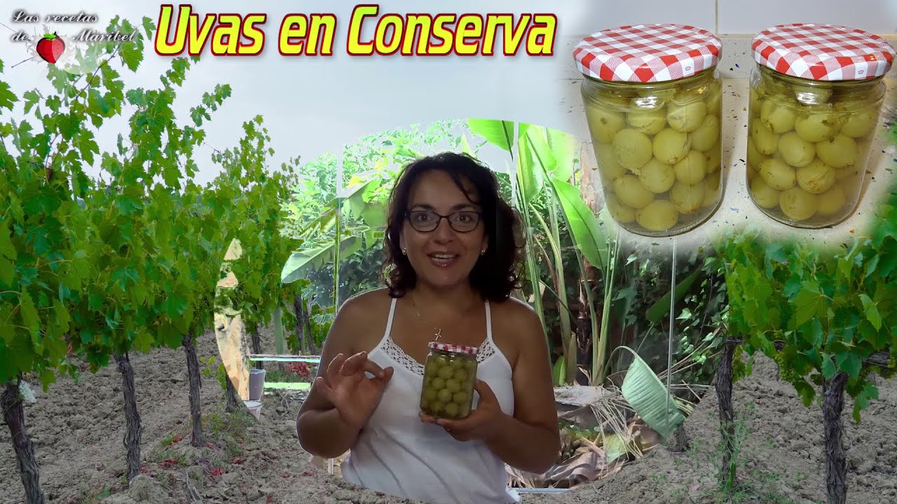Aprende a Conservar Uvas Fácilmente