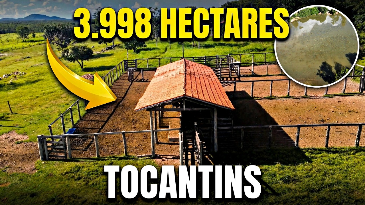 fazenda 3.998 hectares no tocantins com projeto de asfalto e água abundante | oportunidade rural