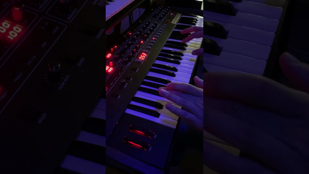 Lean On - intro pluck on Prophet 6 - Major Lazer, M&Oslash;, DJ Snake