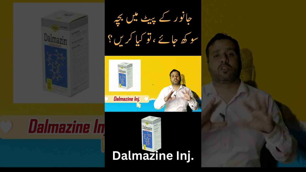 Dalmazin Injection (Cloprostenol) for Estrus Synchronization in Cattle  #shorts #DalmazinInjection