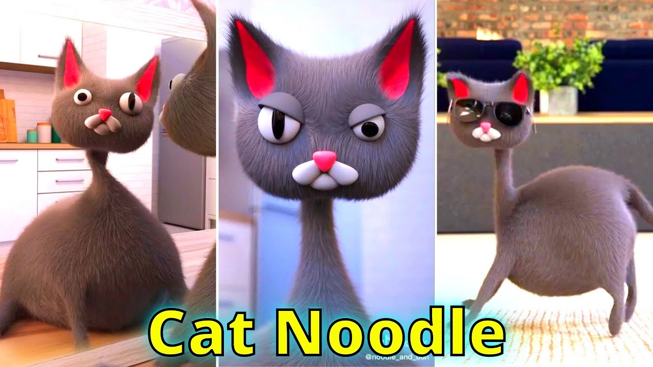 Cat Noodle and Bun. Cat Noodle TikTok Compilation