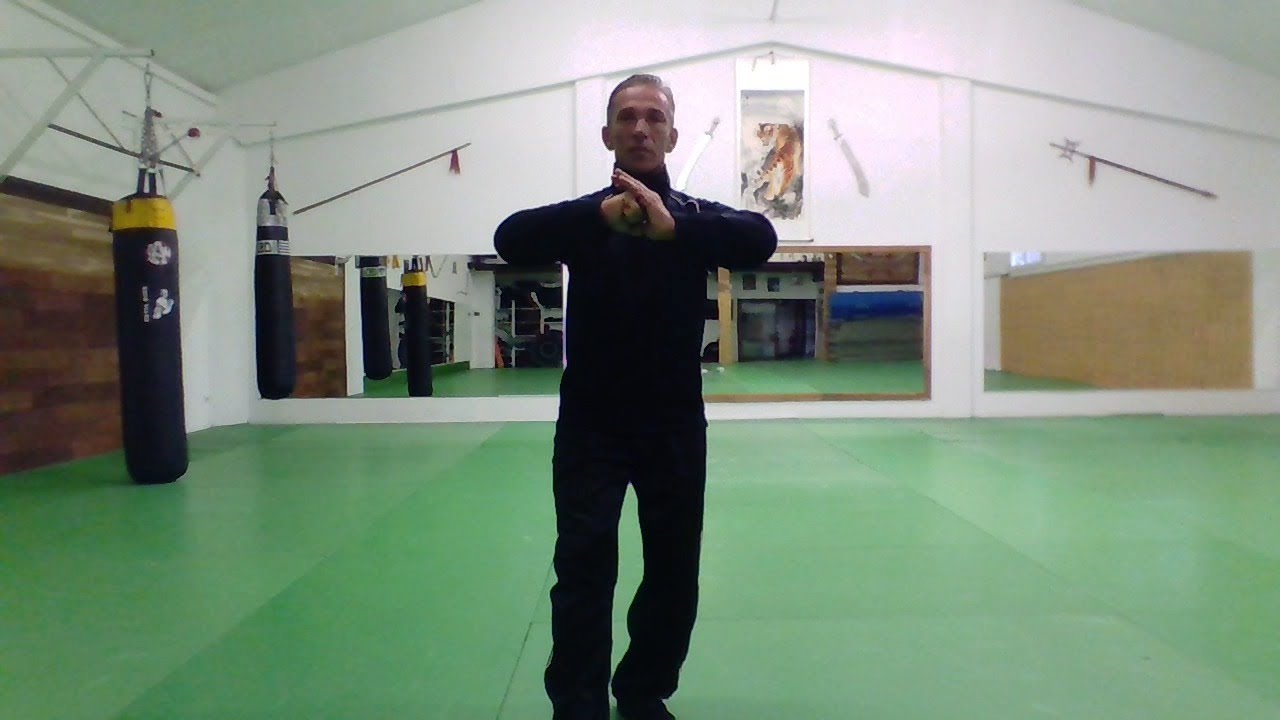 🐯 Cours en direct Kung Fu Shaolin Technique - Enfants Tous Niveaux de 7 à 15 ans
