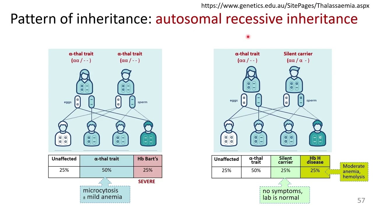 PPT2_anemia_part 7_slides 54-60