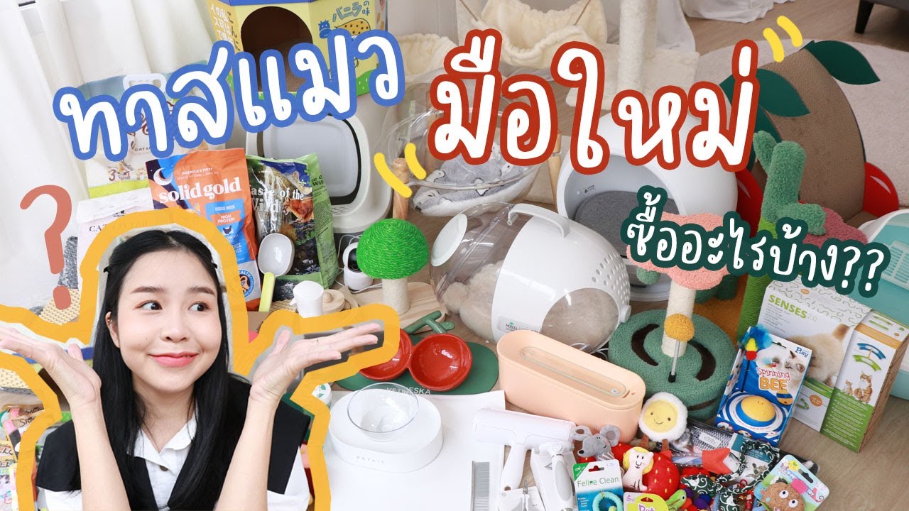 ทาสแมวมือใหม่ ซื้ออะไรบ้าง??