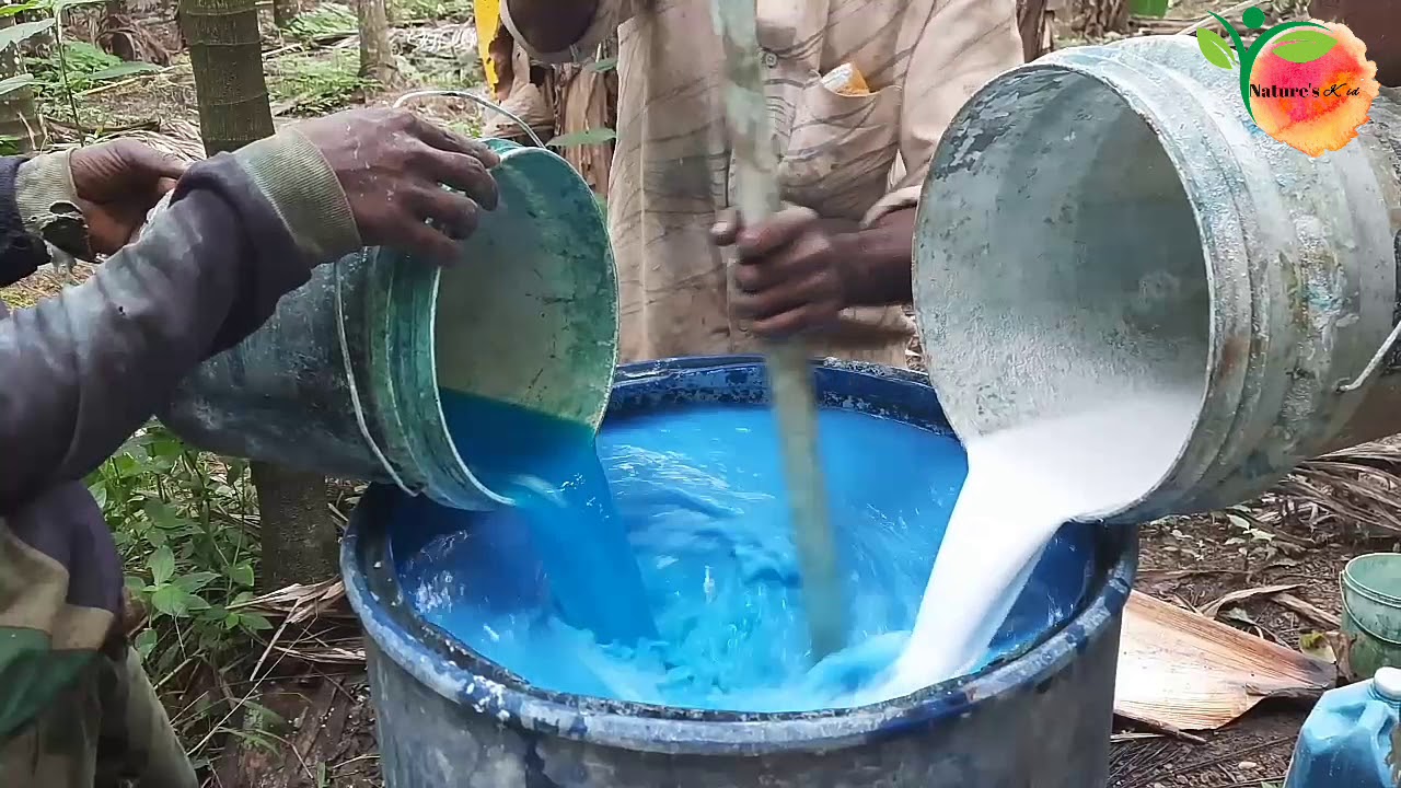 How to prepare bordeaux mixture|Methods to be followed while preparing bordeaux mixture